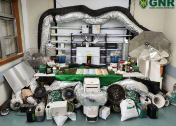 Um detido e um arguido por tráfico de estupefacientes na Figueira da Foz