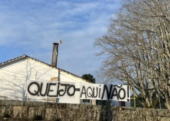 Vila do Mato: Árvores da antiga escola primária não vão ser abatidas