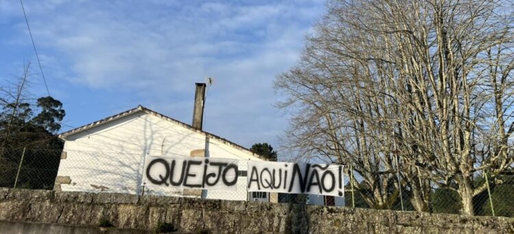 Vila do Mato: Árvores da antiga escola primária não vão ser abatidas