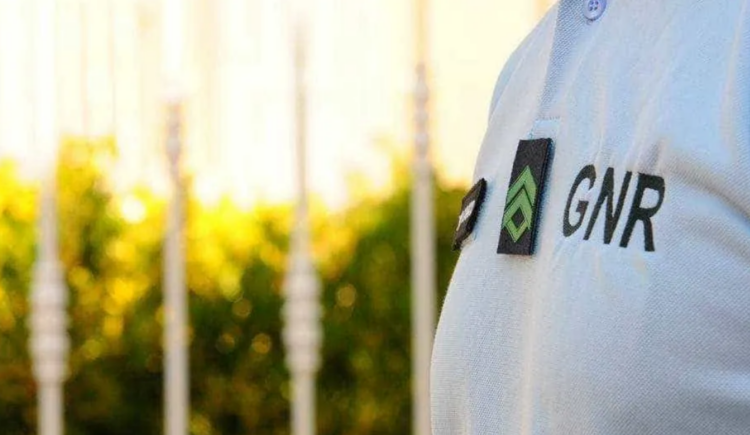 Região: GNR identifica homem por maus-tratos a animal de companhia