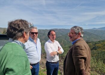 “As AIGP são a grande oportunidade de transformar verdadeiramente a paisagem”