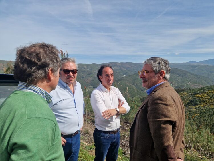“As AIGP são a grande oportunidade de transformar verdadeiramente a paisagem”