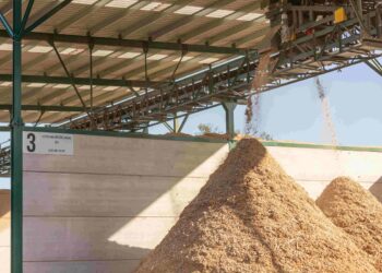 Sonae Arauco aumenta incorporação de madeira reciclada