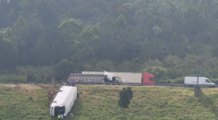 Autocarro com 37 crianças colide com camião na A8 e cai em ravina