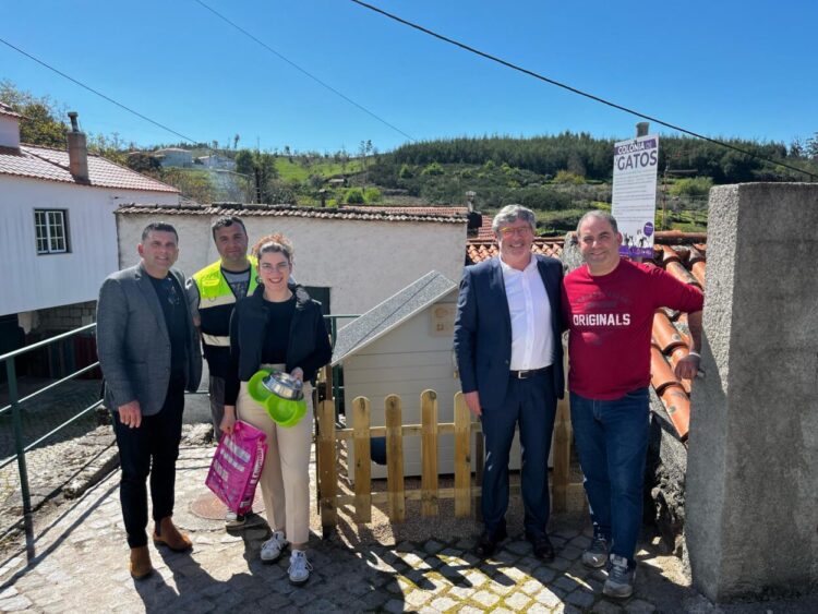 Instalados abrigos e postos de alimentação para gatos em Oliveira do Hospital