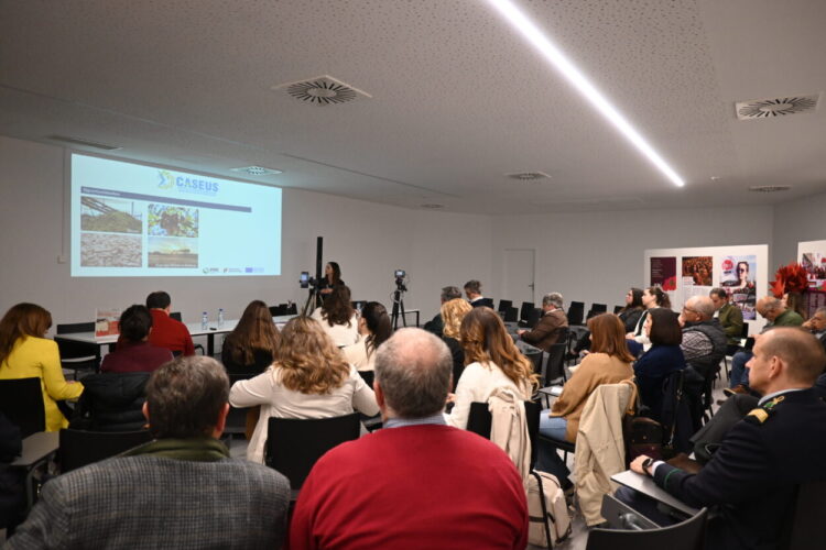 É possível reduzir custos energéticos na produção de queijo. Projeto CASEUS mostra como