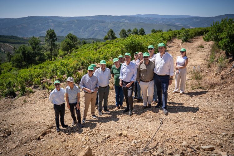 Região de Coimbra apresenta Rota do Medronho. Abrange nove Municípios, entre os quais Oliveira do Hospital, Tábua e Arganil