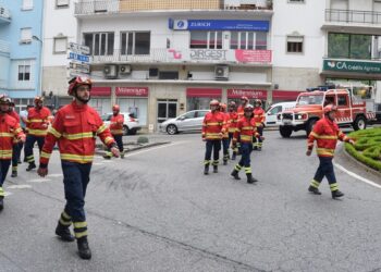 Seia assinala Dia Municipal do Bombeiro a 10 de junho