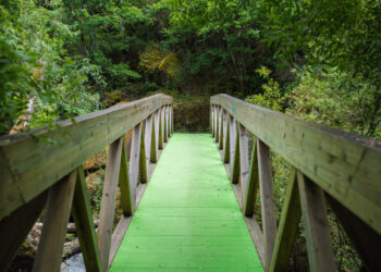 Município de Tábua avança com projeto de percursos BTT e Ciclismo de estrada