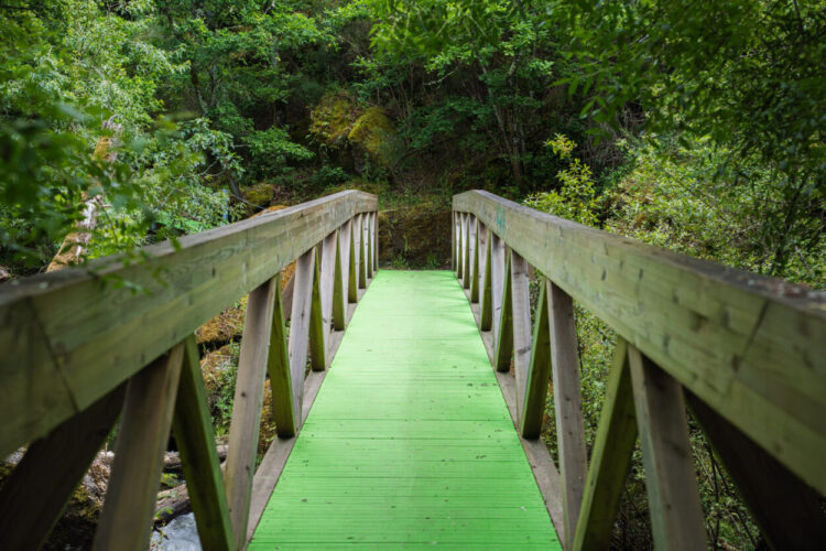 Município de Tábua avança com projeto de percursos BTT e Ciclismo de estrada