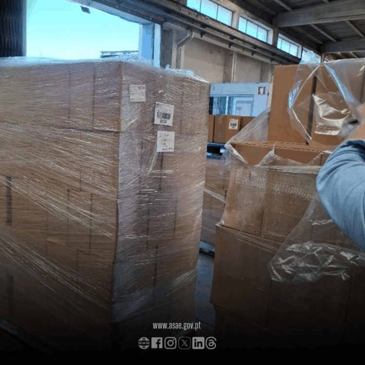 Região: ASAE apreende mais de 4800 litros de vinho e gin com ácido cítrico