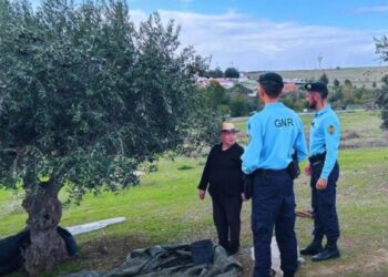 GNR realiza operação Campo Seguro nas explorações agrícolas e florestais
