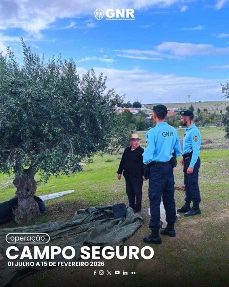 GNR realiza operação Campo Seguro nas explorações agrícolas e florestais