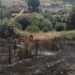 Incêndio em S. Paio de Gramaços mobilizou 31 bombeiros e um meio aéreo