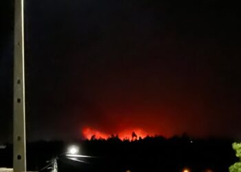 Mais de 170 operacionais, 45 viaturas e dois meios aéreos combatem fogo em Mangualde