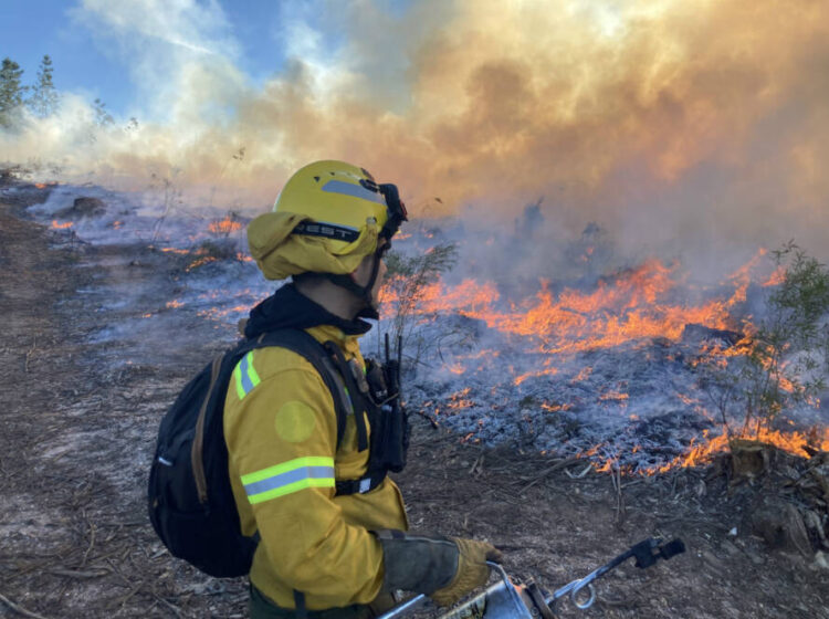 Fogo no Sabugal provoca um ferido grave e quatro ligeiros