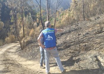 Arganil procede a levantamento de prejuízos até 8 de setembro