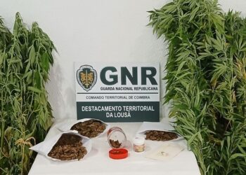 Homem detido em Arganil. É suspeito de tráfico de estupefacientes