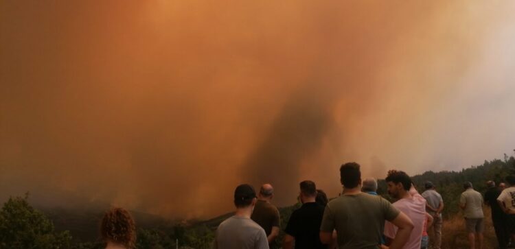 Fogo de Arganil apresenta a maior área ardida de sempre em Portugal