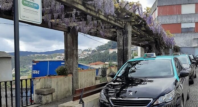 Transporte a pedido regista aumento superior a 30% na Região de Coimbra