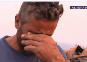 “Fiquei sem nada”: Pedro perdeu “tudo” mas salvou as suas 200 ovelhas e 15 cães