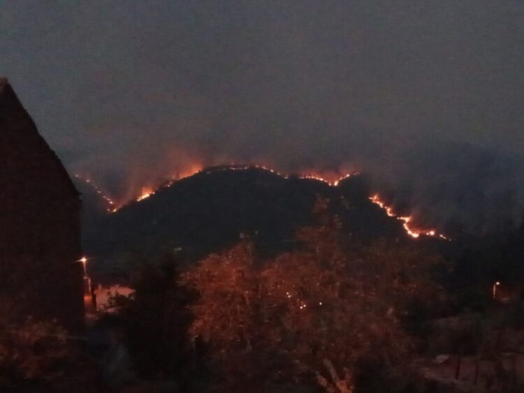 Incêndios: Duas frentes ativas preocupam no concelho de Arganil