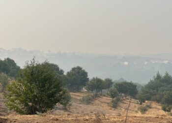 Incêndios: Oliveira do Hospital sem frentes ativas na manhã de sábado