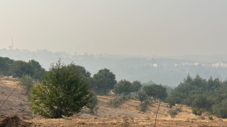 Incêndios: Oliveira do Hospital sem frentes ativas na manhã de sábado