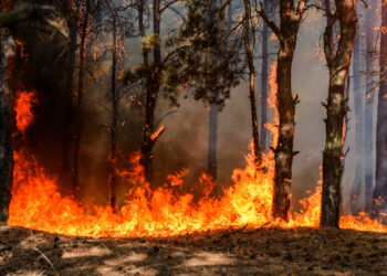 Incêndios: Mais de 160 concelhos de 17 distritos em perigo máximo Quase 2.000 bombeiros combatem os quatro maiores incêndios em Portugal: praticamente metade no de Arganil e Oliveira do Hospital