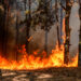 Quase 2.000 bombeiros combatem os quatro maiores incêndios em Portugal: praticamente metade no de Arganil e Oliveira do Hospital