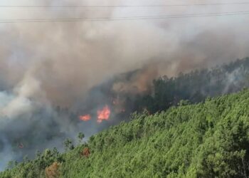 Incêndio em Seia mantém-se com três frentes ativas