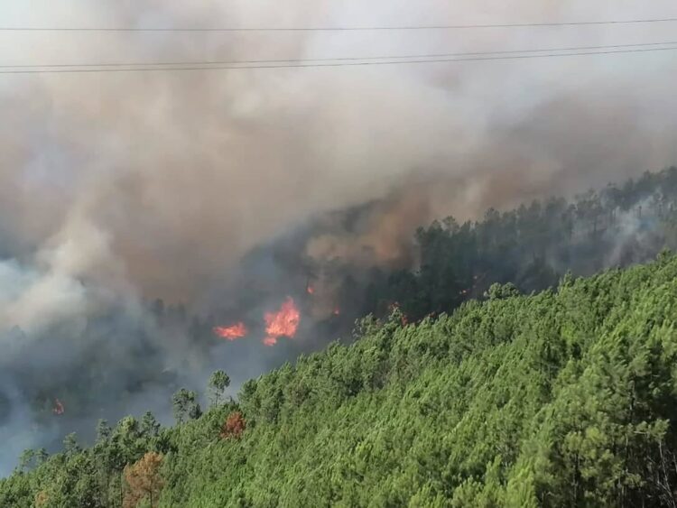 Incêndio chega às portas da Serra da Estrela Incêndio em Seia mantém-se com três frentes ativas