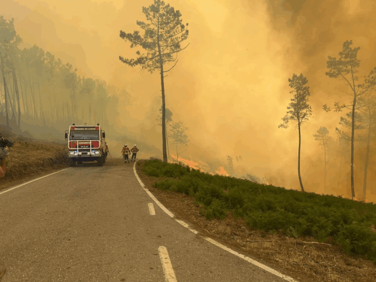 Incêndio na Lousã
