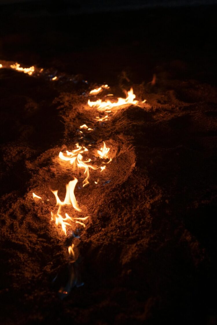 Jovem de 19 anos detido em Seia: é suspeito de atear fogo florestal