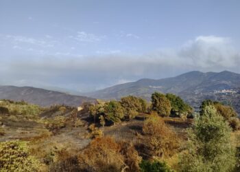 Incêndios: “A diferença entre 2017 foi que agora não existiram fatalidades”, diz autarca de Santa Ovaia e Vila Pouca da Beira
