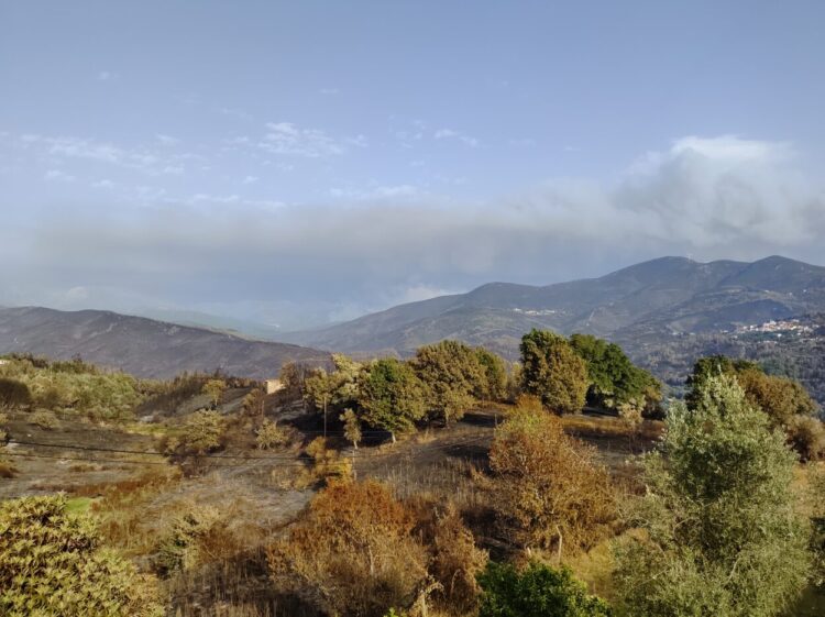 Incêndios: “A diferença entre 2017 foi que agora não existiram fatalidades”, diz autarca de Santa Ovaia e Vila Pouca da Beira