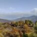 Incêndios: “A diferença entre 2017 foi que agora não existiram fatalidades”, diz autarca de Santa Ovaia e Vila Pouca da Beira