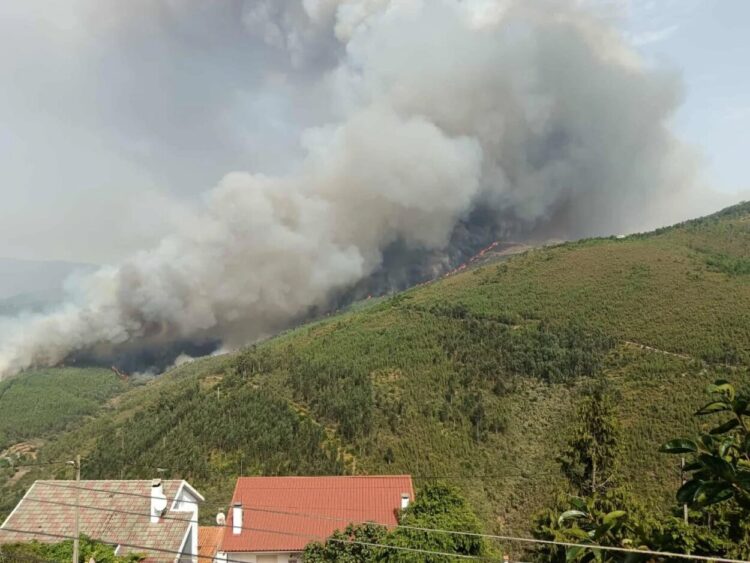 Incêndios: frente de Seia continua descontrolada e segue em direção ao concelho da Covilhã