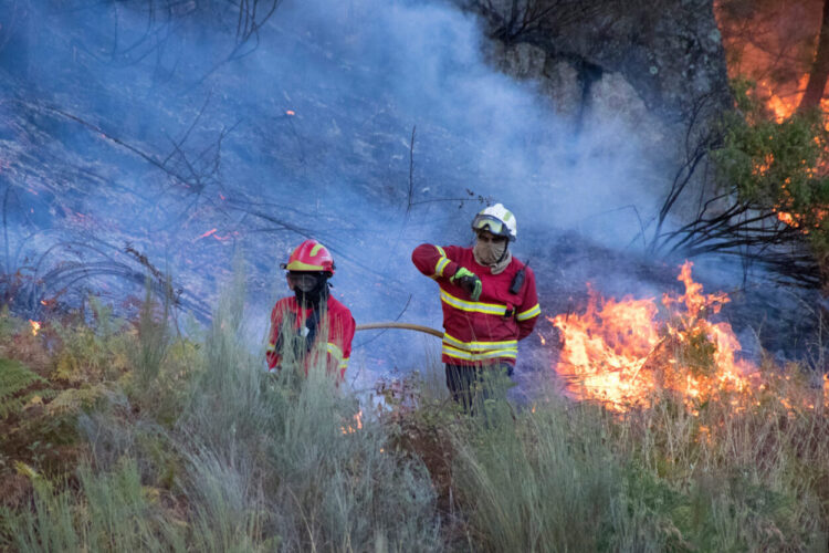 “Reativações fortes” no incêndio de Trancoso, após agravamento das condições meteorológicas