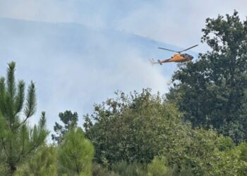 Seia: Incêndio continua ativo e mobiliza “grande número de meios”