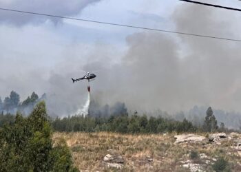 Incêndio em Lagares da Beira entrou em fase de conclusão