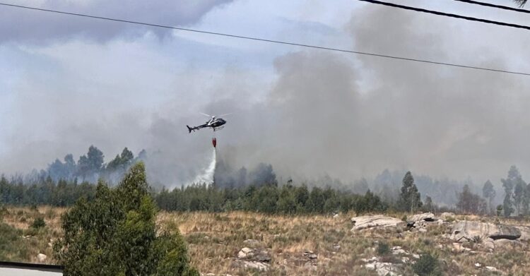 Incêndio em Lagares da Beira entrou em fase de conclusão