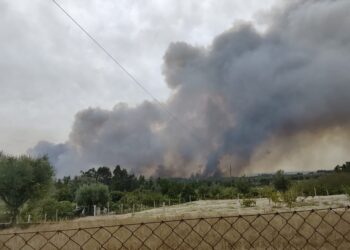 Incêndio de Oliveira do Hospital  passou para o concelho de Nelas