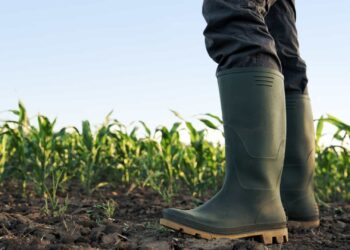 GAL ADIBER/ Beira Serra 20-30 abre concurso para apoio à exploração agrícola