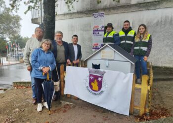Reforçados abrigos e pontos de alimentação para gatos na cidade de Oliveira do Hospital