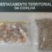Covilhã: Jovem com 2.081 doses de MDMA detido pela GNR