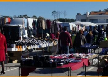 Feira Anual de São Martinho realiza-se domingo  em Tábua