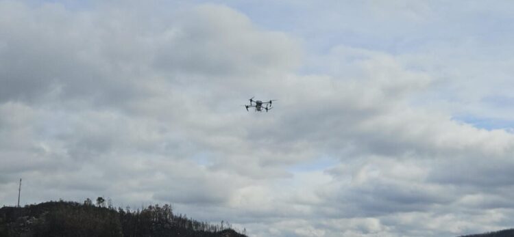 Drones semeiam vegetação no concelho de Oliveira do Hospital: medida pretende evitar erosão dos solos