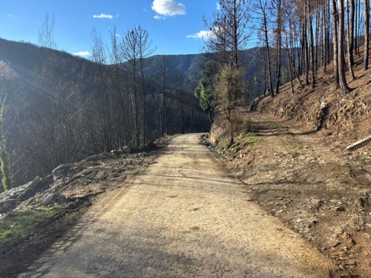 Arganil: Repostas condições de acesso ao Piódão