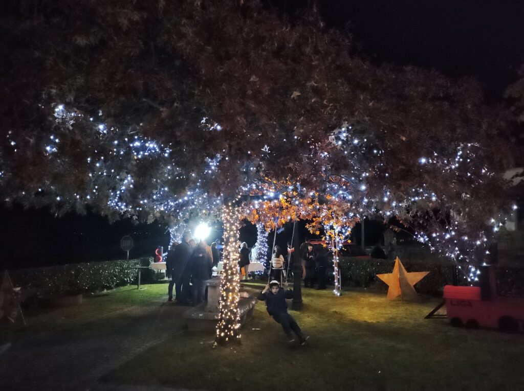 “Jardim Encantado”: Natal ecológico chega a Travanca de Lagos